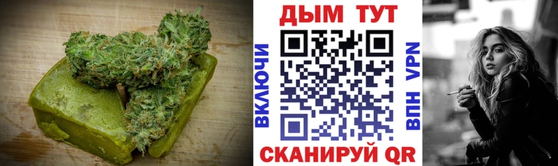 где найти Новосиль Canna-Cookies конопля