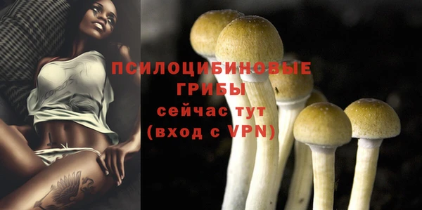 ECSTASY Баксан