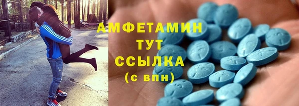 сатива Няндома