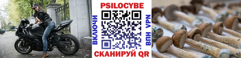 Псилоцибиновые грибы мицелий  как найти   Новосиль 